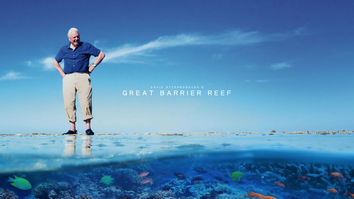 great barrier reef3