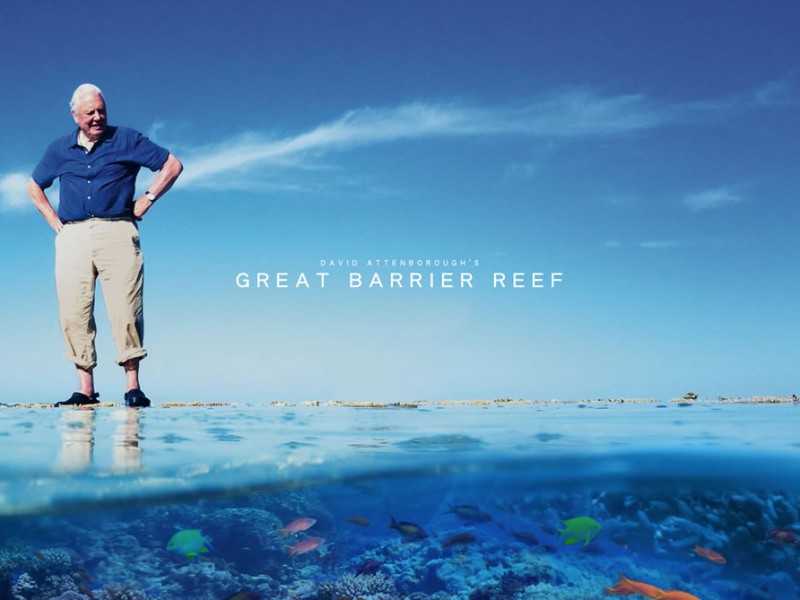 GREAT BARRIER REEF