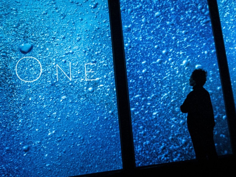 ONE – Lisbon Aquarium Installation