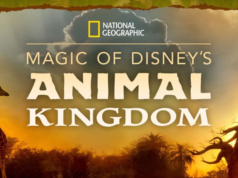 Magic of Disney’s Animal Kingdom