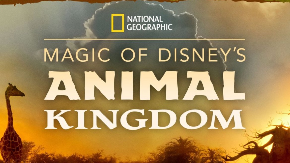 Magic of Disney's Animal Kingdom – halo