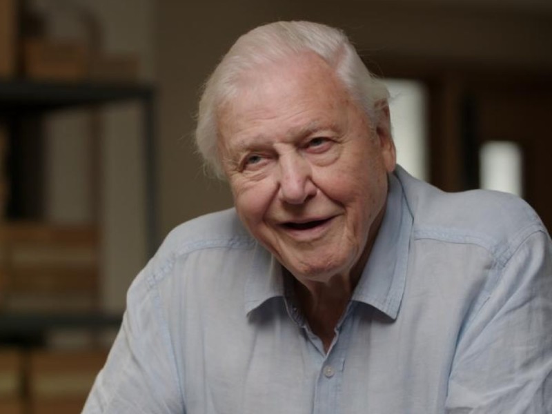 Attenborough And The Mammoth Graveyard
